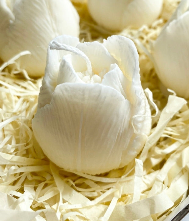 Tulip Bud Candle Set – 6 Mini Soy Candles in Gift Box, Bridal Shower Gift, Wedding Favor, Handmade Floral Candles for Elegant Gifting